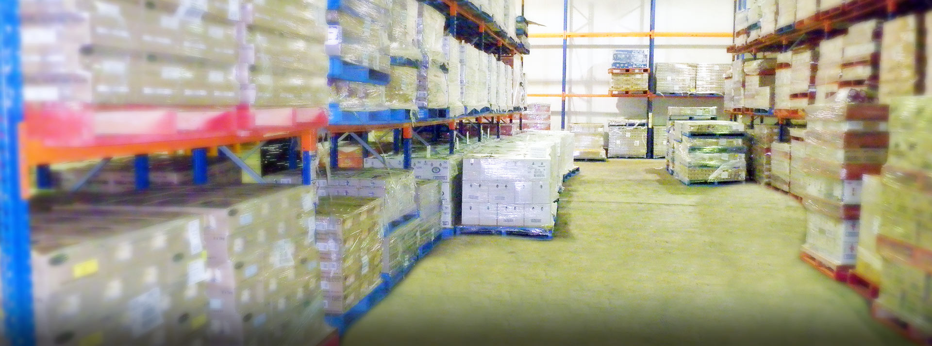冷链物流Andcold仓储物流Cold Chain Logistics & Cold storage,Inc.