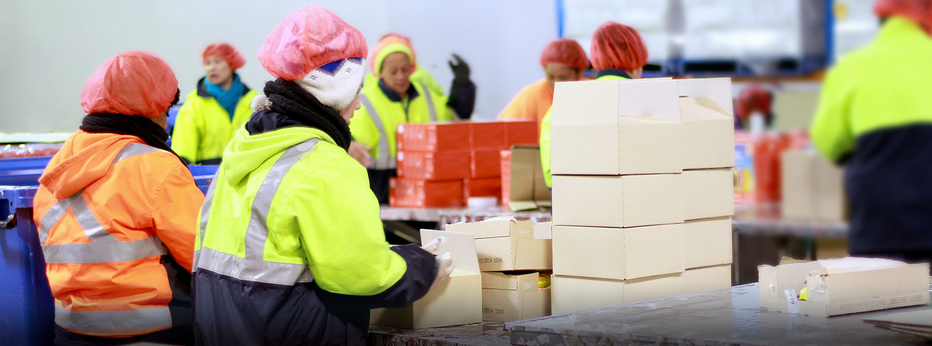 冷链物流Andcold仓储物流Cold Chain Logistics & Cold storage,Inc.